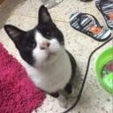 สมาชิกหมายเลข 3959166