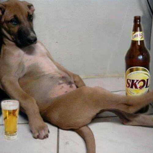 สมาชิกหมายเลข 5158134