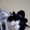 ปีกาซัส