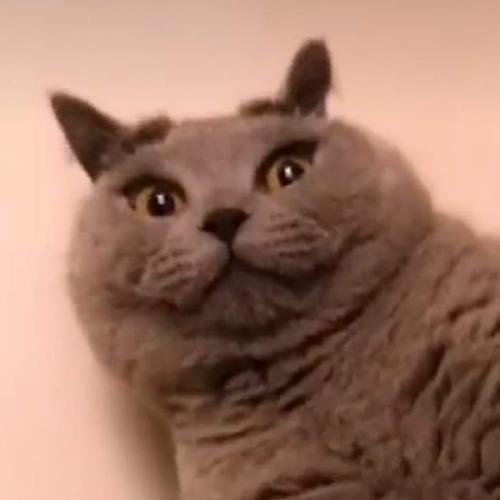 สมาชิกหมายเลข 5546596