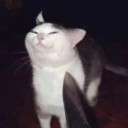 สมาชิกหมายเลข 5561380