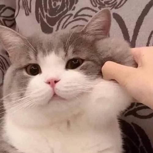 สมาชิกหมายเลข 5738633