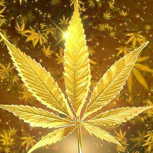 สมาชิกหมายเลข 6118376