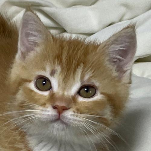 สมาชิกหมายเลข 6279049