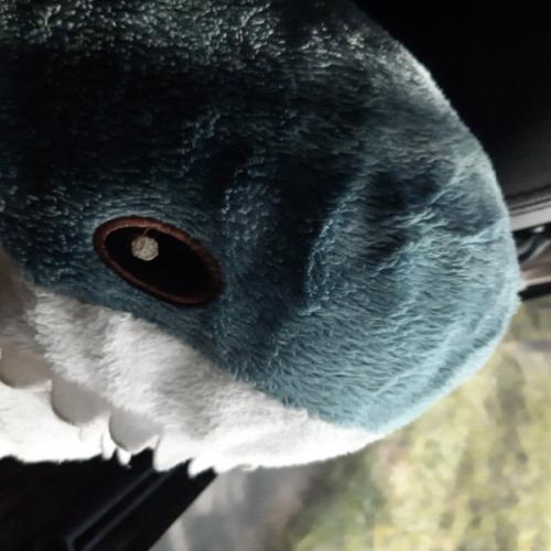 สมาชิกหมายเลข 6742162