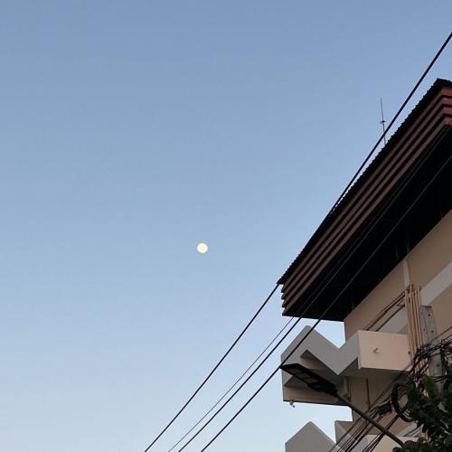 สมาชิกหมายเลข 5502978