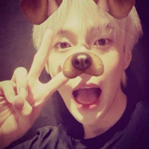 สมาชิกหมายเลข 8288133