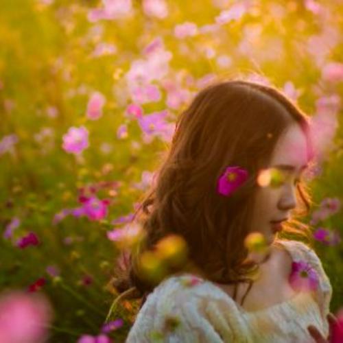 สมาชิกหมายเลข 8413811