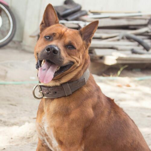 สมาชิกหมายเลข 2857395