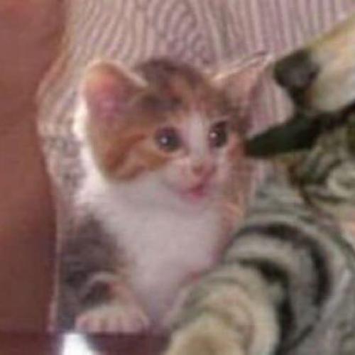 สมาชิกหมายเลข 4393832