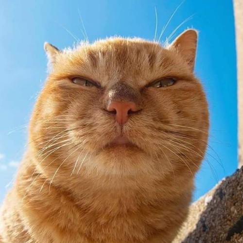 สมาชิกหมายเลข 5113543