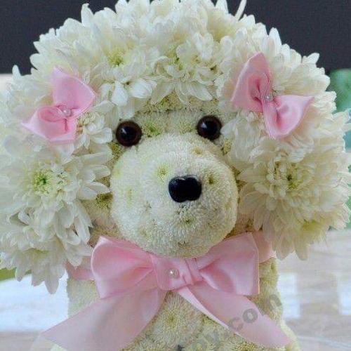 สมาชิกหมายเลข 5158534