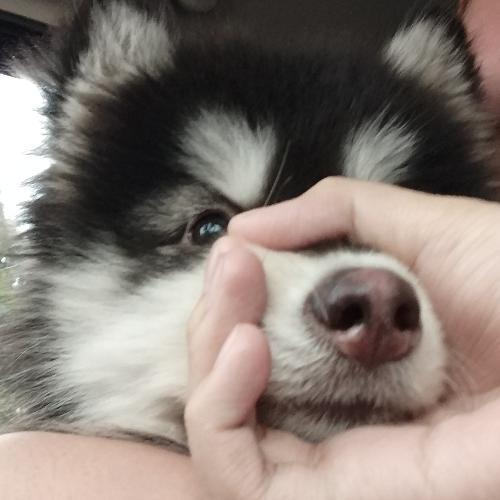 สมาชิกหมายเลข 5158561