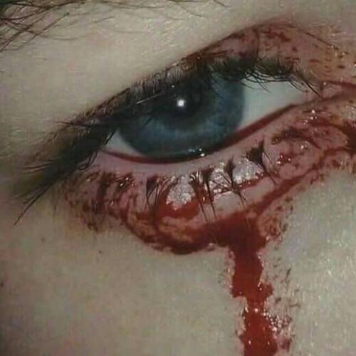 สมาชิกหมายเลข 5561522