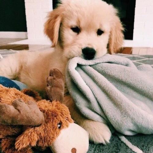 สมาชิกหมายเลข 5561839