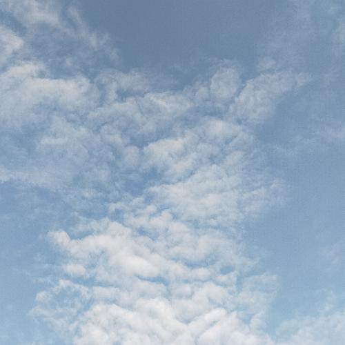 สมาชิกหมายเลข 5560764