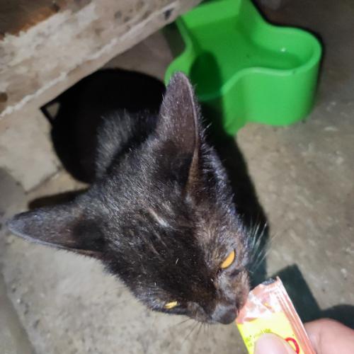 สมาชิกหมายเลข 6699202