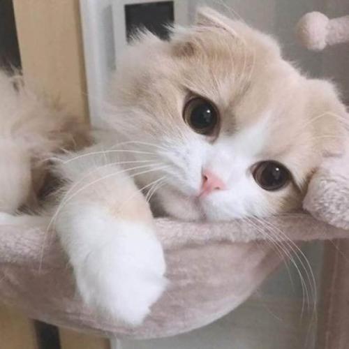 สมาชิกหมายเลข 6737196