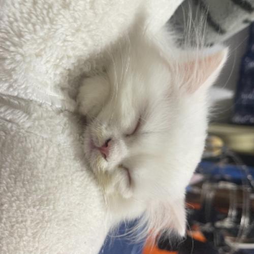 สมาชิกหมายเลข 6743125