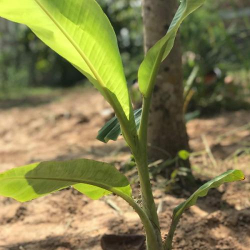 สมาชิกหมายเลข 6743177