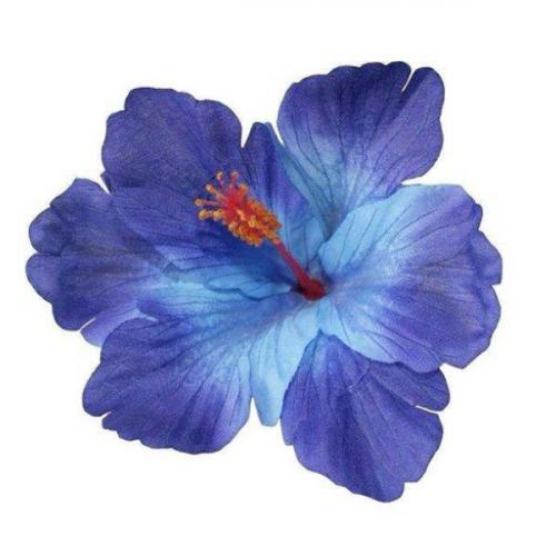 สมาชิกหมายเลข 5358419