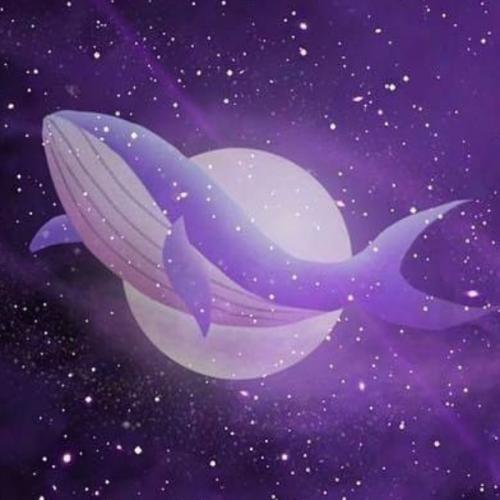 สมาชิกหมายเลข 8414527