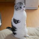 สมาชิกหมายเลข 4433682