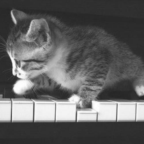 สมาชิกหมายเลข 3042992