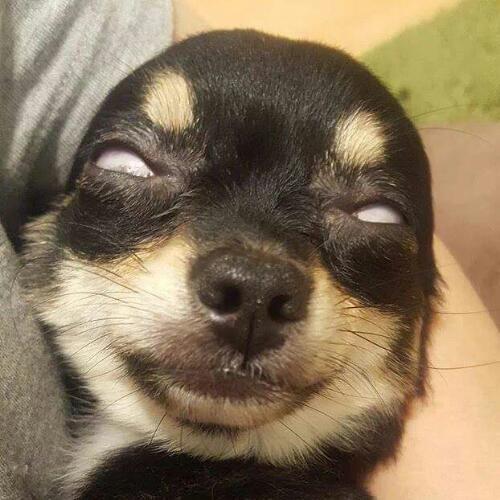 สมาชิกหมายเลข 4775103