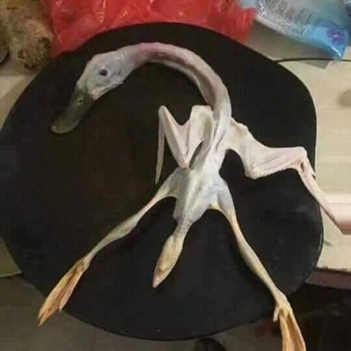 สมาชิกหมายเลข 4779728