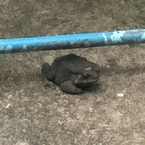 สมาชิกหมายเลข 5158857