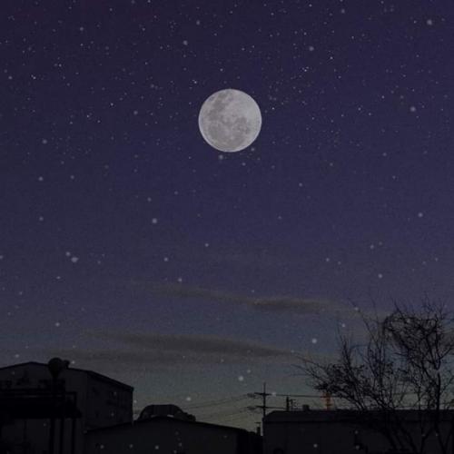 สมาชิกหมายเลข 5158863