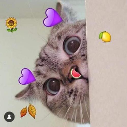 สมาชิกหมายเลข 5158997