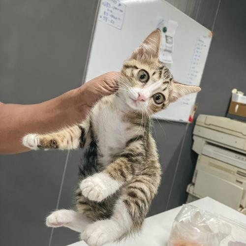 สมาชิกหมายเลข 5223856