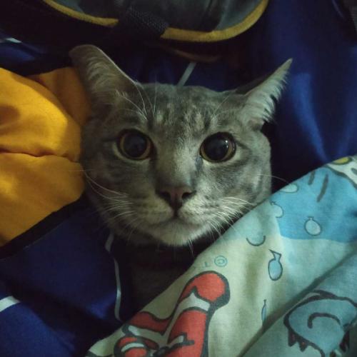 สมาชิกหมายเลข 6119351