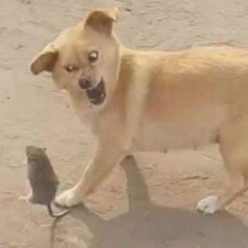 สมาชิกหมายเลข 6743613