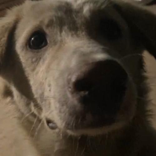 สมาชิกหมายเลข 6026097