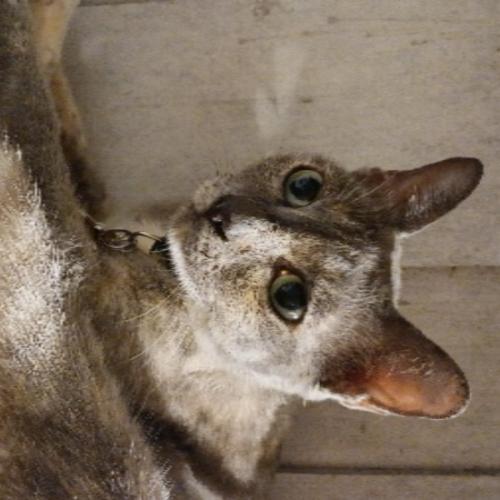 สมาชิกหมายเลข 8369662