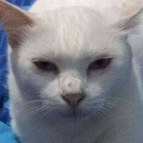 สมาชิกหมายเลข 8414411