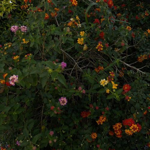 สมาชิกหมายเลข 8415449