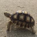 สมาชิกหมายเลข 1023525