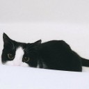 สมาชิกหมายเลข 1257534