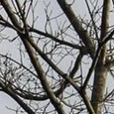 สมาชิกหมายเลข 3961089