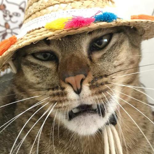 สมาชิกหมายเลข 1973194