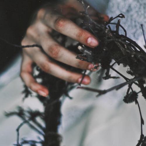 สมาชิกหมายเลข 3638055