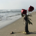 สมาชิกหมายเลข 4437747