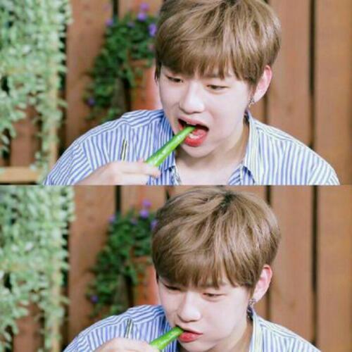 สมาชิกหมายเลข 4781801