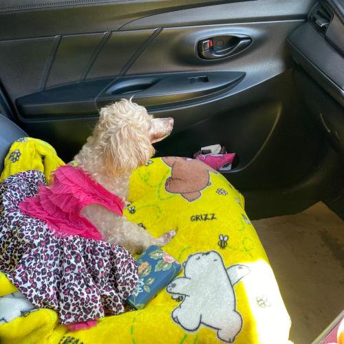 สมาชิกหมายเลข 4226012