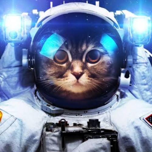 สมาชิกหมายเลข 6744264