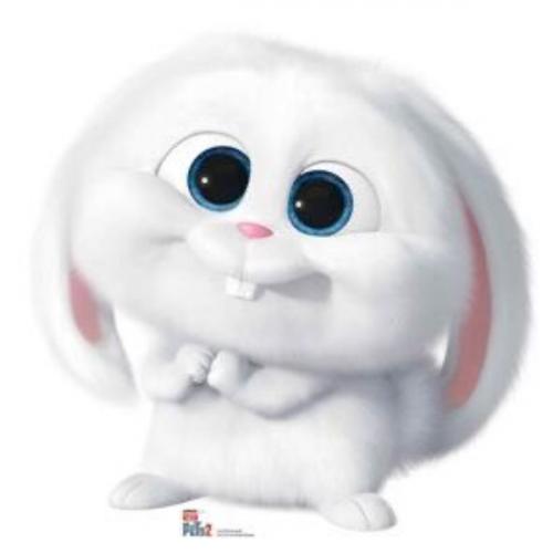 สมาชิกหมายเลข 6744326